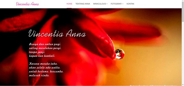 jasa-pembuatan-website-seo-dan-pemasangan-iklan-google-adwords-murah-vincentia-anna-di-jakarta-bandung-surabaya Galeri Web